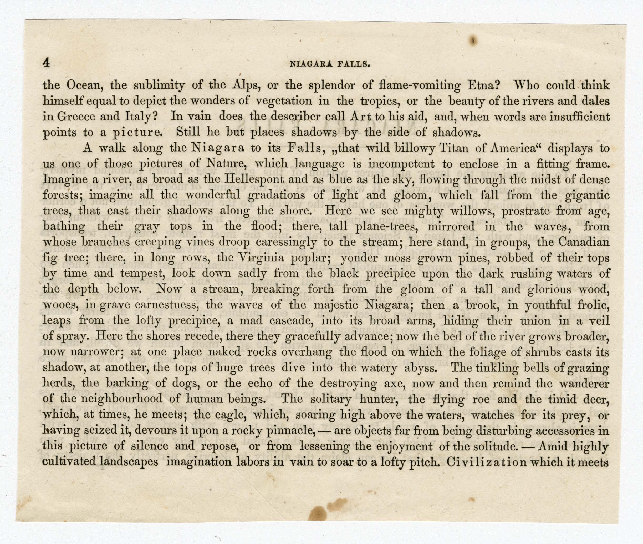  Niagara Falls article